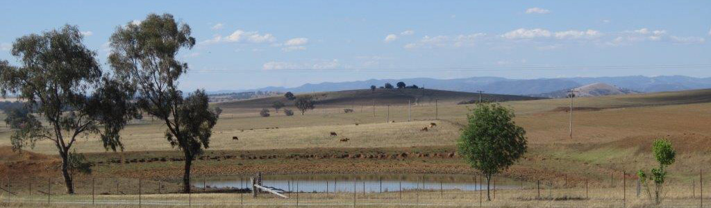 The Peel Valley backyard