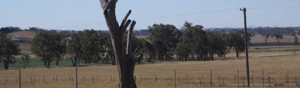 Landscape of the area near Gowrie church